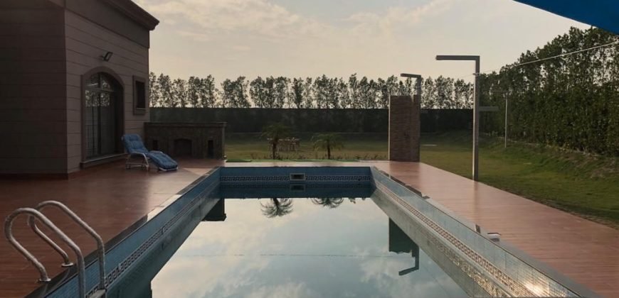 BEDIAN ROAD SWIMMING POOL 09