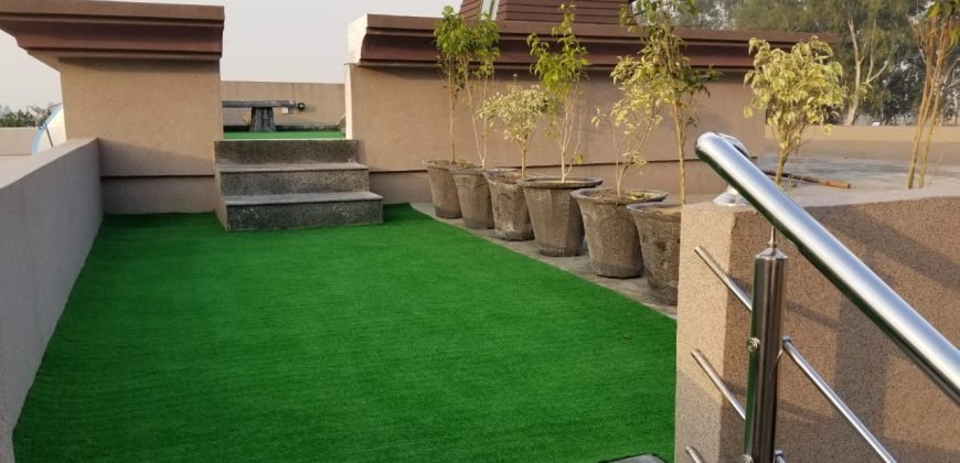 BEDIAN ROAD SWIMMING POOL 09