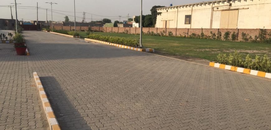 HARBANSPURA  FARMHOUSE 36