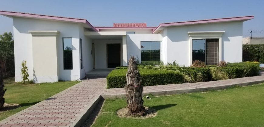 BARKI ROAD FARMHOUSE  22