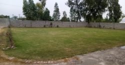 GULBERG FARMHOUSE 34