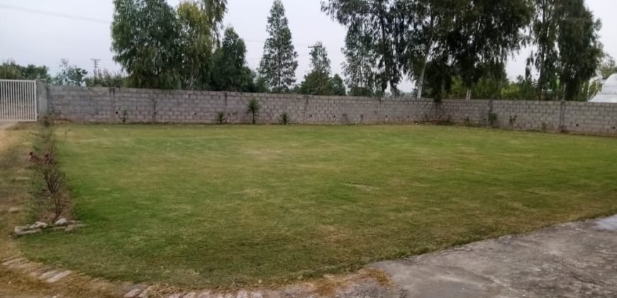 GULBERG FARMHOUSE 34