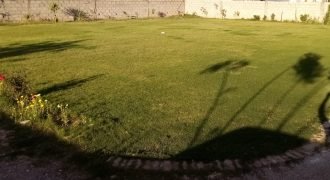 GULBERG FARMHOUSE 34