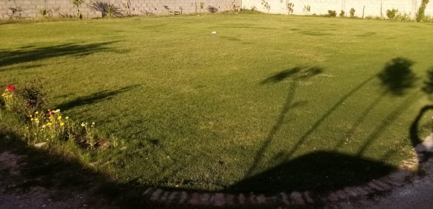 GULBERG FARMHOUSE 34