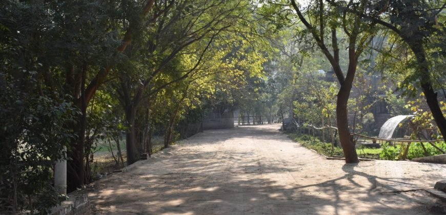 BEDIAN ROAD  FARMHOUSE 59