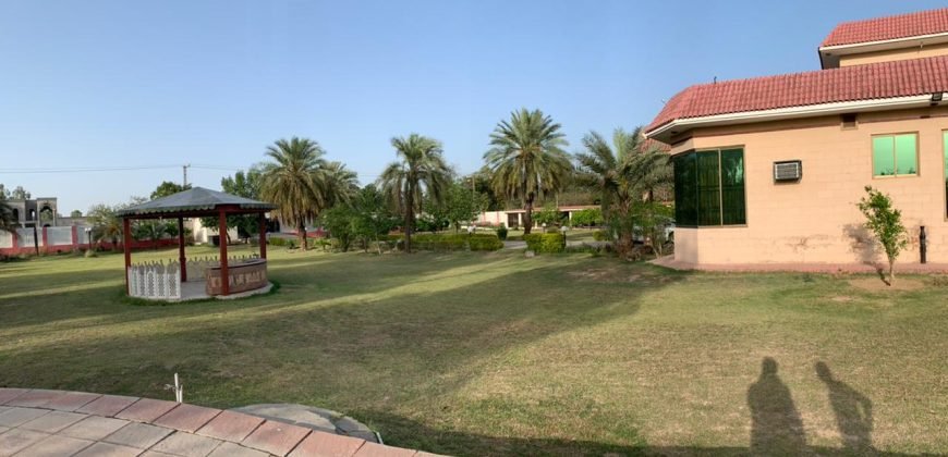 RAIWIND ROAD FARMHOUSE 45