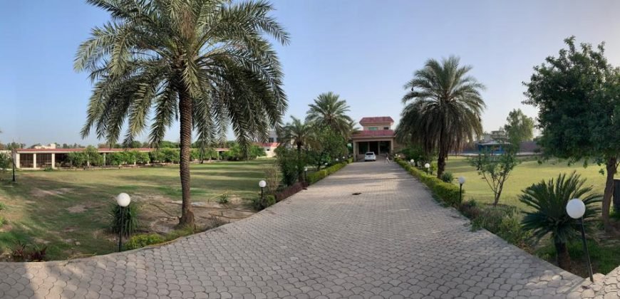 RAIWIND ROAD FARMHOUSE 45