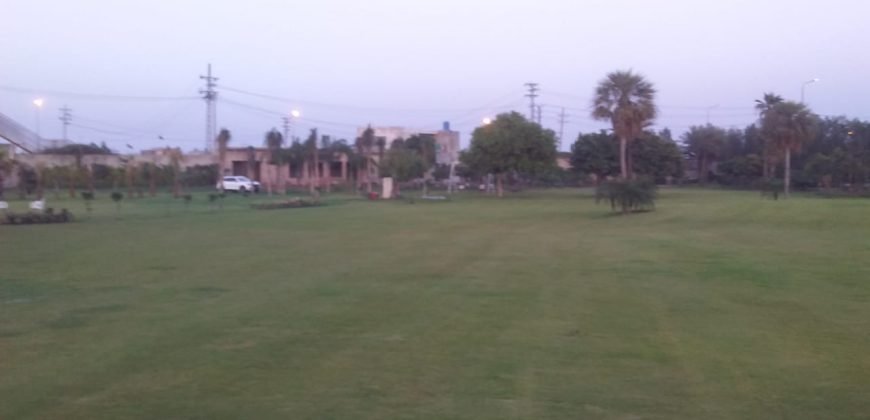 LAKHODHER FARMHOUSE 42