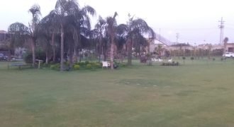 LAKHODHER FARMHOUSE 42