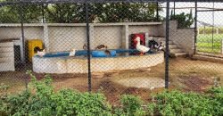 SWIMMING POOL BEDIAN ROAD 116