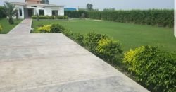 BARKI ROAD FARMHOUSE  22