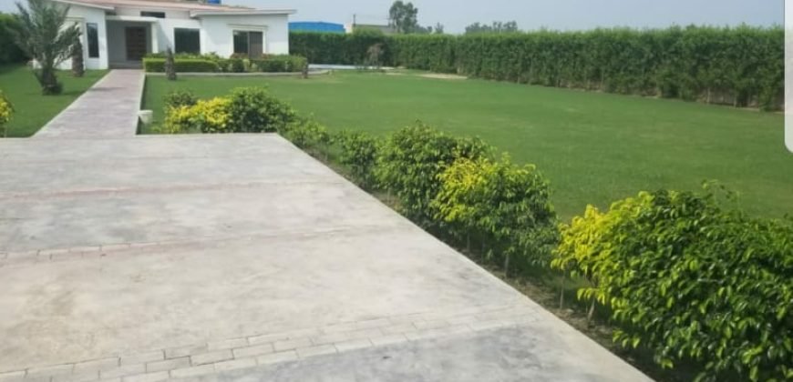 BARKI ROAD FARMHOUSE  22