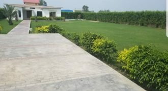 BARKI ROAD FARMHOUSE  22