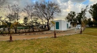 JAPAN ROAD  FARMHOUSE 141