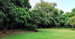 RAIWIND ROAD FARMHOUSE 30