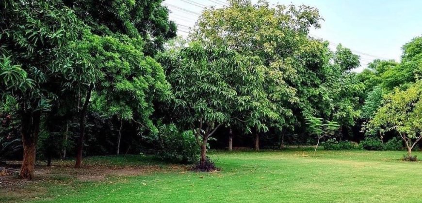 RAIWIND ROAD FARMHOUSE 30