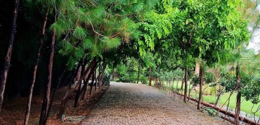 RAIWIND ROAD FARMHOUSE 30