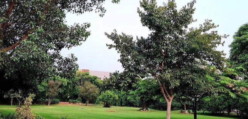 RAIWIND ROAD FARMHOUSE 30