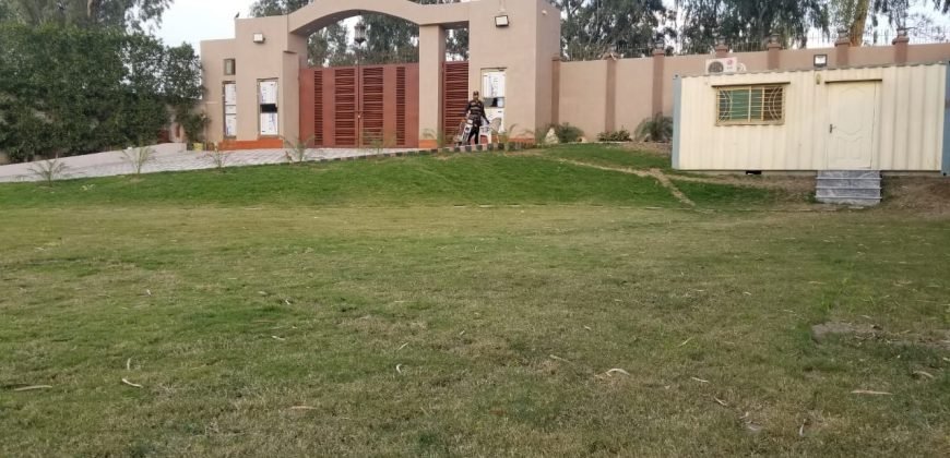 BEDIAN ROAD FARMHOUSE  14