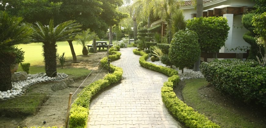 BEDIAN ROAD FARMHOUSE 159