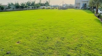 BEDIAN ROAD FARMHOUSE 284