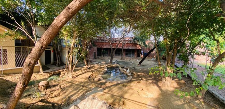 VALENCIA ROAD FARMHOUSE  116