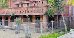 VALENCIA ROAD FARMHOUSE  116