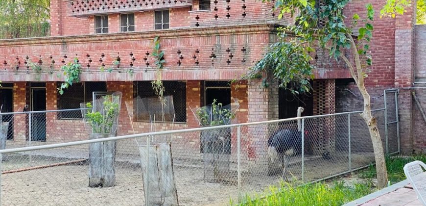 VALENCIA ROAD FARMHOUSE  116