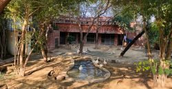 VALENCIA ROAD FARMHOUSE  116