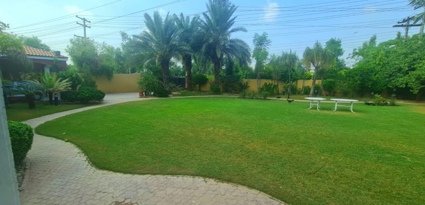 WAPDA TOWN FARMHOUSE 270