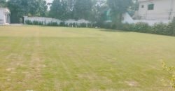 GULBERG  FARMHOUSE 272