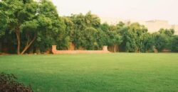 RAIWIND ROAD FARMHOUSE 88