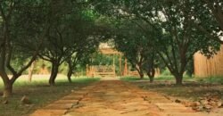 RAIWIND ROAD FARMHOUSE 88
