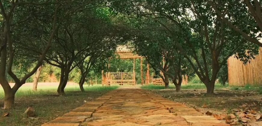 RAIWIND ROAD FARMHOUSE 88