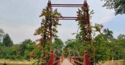 RAIWIND ROAD FARMHOUSE 88