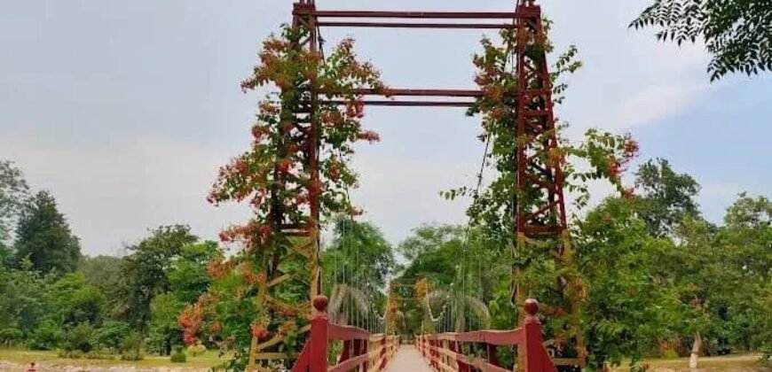 RAIWIND ROAD FARMHOUSE 88