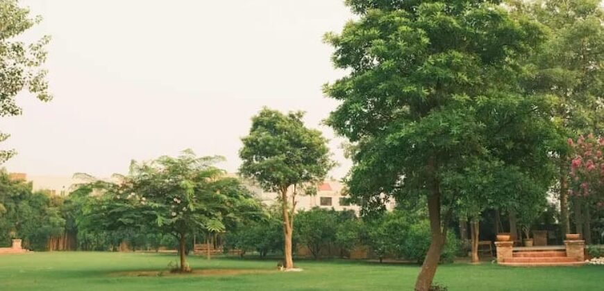 RAIWIND ROAD FARMHOUSE 88