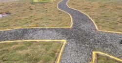 RAIWIND ROAD FARMHOUSE 92