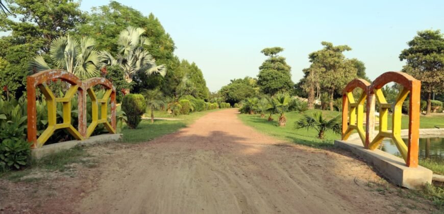 BEDIAN ROAD FARMHOUSE 01