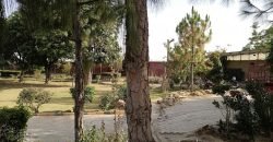 FAISALABAD FARMHOUSE 183