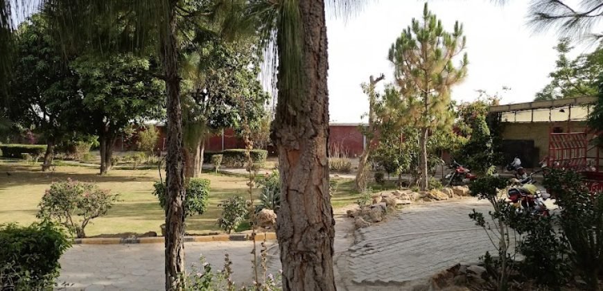 FAISALABAD FARMHOUSE 183