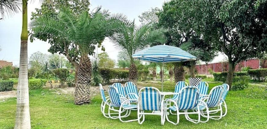 FAISALABAD FARMHOUSE 183