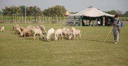 SWIMMING POOL BARKI ROAD 36