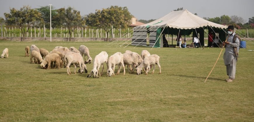 SWIMMING POOL BARKI ROAD 36