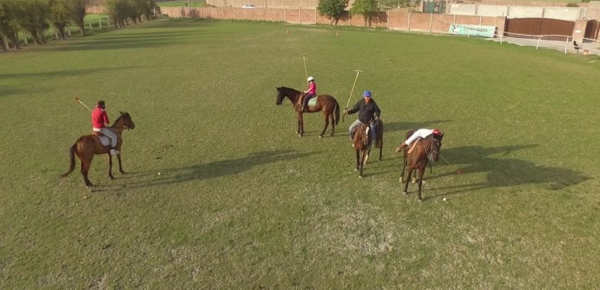 BARKI ROAD FARMHOUSE 75