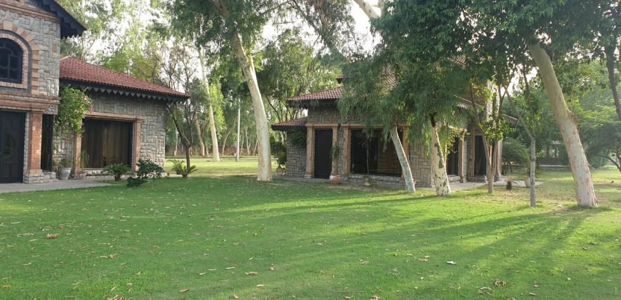 RAIWIND ROAD FARMHOUSE 32