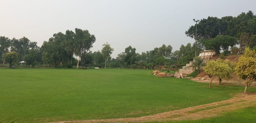 RAIWIND ROAD FARMHOUSE 32