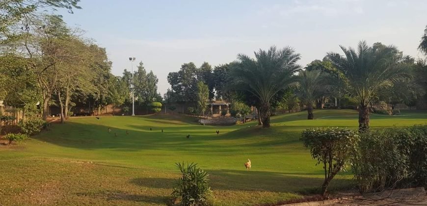 WAPDA TOWN FARMHOUSE 134