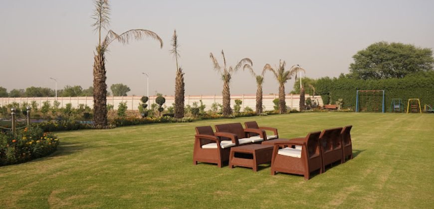 FEROZPUR ROAD FARMHOUSE 197