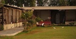 FEROZPUR ROAD FARMHOUSE 197